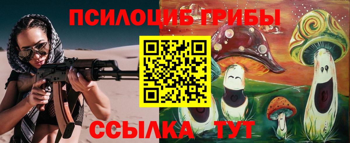 Псилоцибиновые грибы Psilocybine cubensis Тобольск
