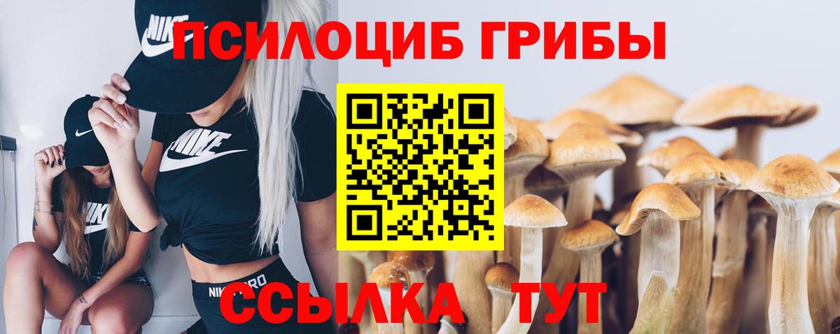 Псилоцибиновые грибы Magic Shrooms  Вход с VPN  Тобольск  купить закладку  Псилоцибиновые грибы мухоморы 